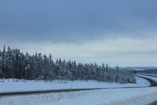 New Camera Dec2010 213